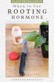 Why i use rooting hormone. When To Use Rooting Hormone For Plant Propagation