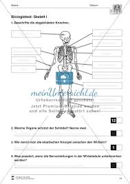 Korper Und Gesundheit Aufgaben Biologie Test Meinunterricht