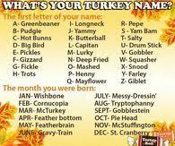 It derives its name from the 'turk turk' sounds it makes when scared. What Is You Turkey Name Funny Name Generator Funny Names Names