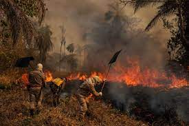 The premiere of the world press photo exhibition 2021, showcasing the results of this year's contests is due to open in de nieuwe kerk in the world press photo foundation will host its annual festival online this year. Liup8jkcp1yxsm