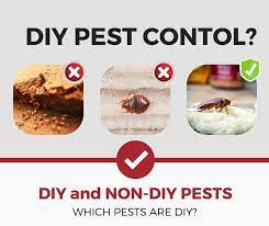 Cost is one of the biggest factors that influence diy vs professional pest control treatments. Which Pests Are Diy And Which Pests Are Not Diy In Depth Guide Pest Strategies