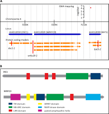 Savesave kotak alamat dr anugerah for later. The Tir Nb Lrr Pair Dsc1 And Wrky19 Contributes To Basal Immunity Of Arabidopsis To The Root Knot Nematode Meloidogyne Incognita Bmc Plant Biology Full Text