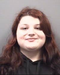 Busted Davie Co. Reloaded...