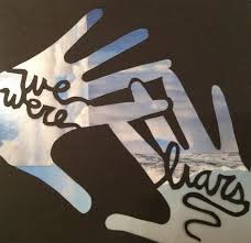 We Were Liars And 8 Other Books You Ll Love If You Were Shocked By The Twist In Gone Girl We Were Liars Liar Psychological Thrillers