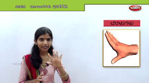 Hair, head, nape, neck, shoulder blade, arm , back, elbow, waist, trunk. Learning Parts Of The Body In Kannada An Educational Video For Preschoolers For Toddlers Youtube