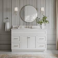 Freestanding Bath Vanity Cabinet