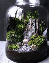 Woodland Mousse Et Fougere Terrarium En Grand Bocal De Verre Terrariumart Terrarium Landscaping With Rocks Moss Plant