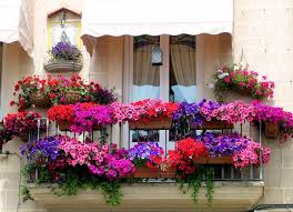Wunderschone Terrasse Mit Vielen Blumen Bunte Petunien Sorgen Fur Einen Romantischen Look Blumenkasten Balkon Pflanzideen Sommerblumen