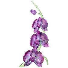 Check spelling or type a new query. Pin On Swarowski