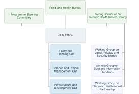 Ehealth Governance Of Ehr Programme