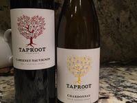 Wine With A Family Tree Label Family Tree Labels Wine Wine Bottle
