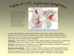 The symptoms of a uti can include: Urinary Tract Infections Ppt Download