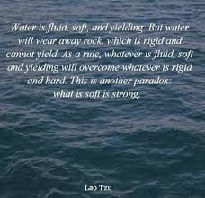 ☯️ tees & quotes by lao tzu & others share our content w/friends & tag us! Pin By Mindy Zimmerman On I Mean Lao Tzu Quotes Taoism Quotes Wisdom Quotes
