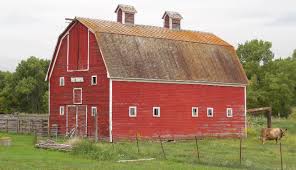 It can be difficult to part with a beloved barn when repairs and maintenance are no longer feasible. 6 Things To Know Before Renovating An Old Barn The Cottage Market