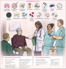 Image result for Transplantation