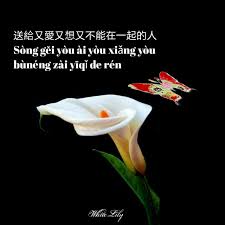 Terjemahan dari mandarin chinese di bahasa indonesia. 29 Kata Cinta Bahasa Mandarin Dan Artinya Inspirasi Kata Bijak Mutiara