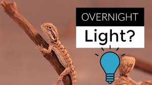 Amazon.Com: Aiicioo Reptile Red Night Light Bulb - 100W Reptile Heat Lamp  Bulb Infrared Basking Spot Lamp For Bearded Dragon Lizard Turtle Hermit  Crab Leopard Gecko Snake Chameleon Tank : Pet Supplies