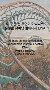Bts Dna Bts Lyric Bts Lyrics Quotes Bts Song Lyrics