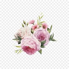 Pink Flowers Rose Color Hd Hand Painted Watercolor Roses Vector Flower Drawing Watercolor Rose Flower Illustration