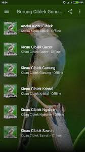 Ukuran minimal kandang yang bisa digunakan adalah 60 cm x 90 cm x 90 cm. Suara Burung Ciblek Gunung Latest Version For Android Download Apk