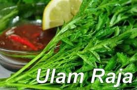 Banyak khasiat kesihatan ulam raja ramai tak tahu ulam raja adalah ulaman yang sangat di gemari oleh. Khasiat Ulam Raja Ulam Raja Bukan Kedai Makan Ustaz Facebook