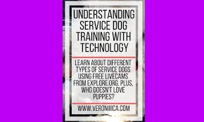 If you need a service dog for balance or stability, then it is imperative that you do not end up with a dog that is genetically prone to joint problems. Understanding Service Dog Training With Technology Paths To Technology Perkins Elearning