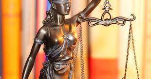 Image result for Justicia nuttii