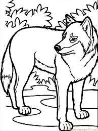 Supercoloring.com is a super fun for all ages: Wolf 01 Coloring Page For Kids Free Wolf Printable Coloring Pages Online For Kids Coloringpages101 Com Coloring Pages For Kids