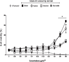 Image result for Buchholzia