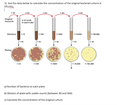 How do i calculate cfu/ml with a dilution? 1 Use The Data Below To Calculate The Concentration Chegg Com