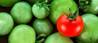 Tomaten Verbraucherschutz Bzfe