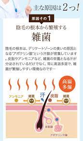 主な原因は2つ 陰毛の毛根から繁殖する雑菌 肌荒れ ニキビ 毛根 汗腺