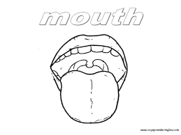 Reasons for yellow tongue include certain medical conditions and the use of some products. Mouth Tongue Coloring Pages Cuerpo Humano Dibujo Cuerpo Cuerpo
