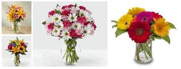 Ogden was the first settlement in utah, and today is a notoriously independent community with hundreds of locally owned restaurants. The 8 Best Options For Flower Delivery In Rochester Minnesota 2021