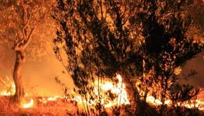 1 day ago · в турции, где несколько дней температура воздуха достигала отметок до + 50 °с, вспыхнули масштабные лесные пожары. V Turcii Gorit Les Na Tushenii Zadejstvovany Vertolety I 20 Pozharnyh