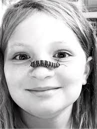 This summer, monarch...