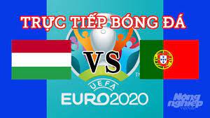(techz.vn) nhận định bóng đá chuyên gia trận bồ đào nha đối đầu hungary 23h00 ngày 15/06, bảng f euro 2021. U201qfr1h8j8em