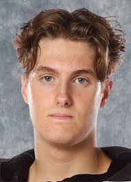 Lulea HF Jr. (Swe-Jr) Player Register at hockeydb.com