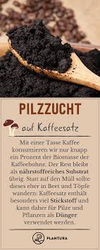 Pilzzucht Auf Kaffeesatz Speisepilze Aus Der Eigenen Kuche Kaffeesatz Pilze Pilze Anbauen