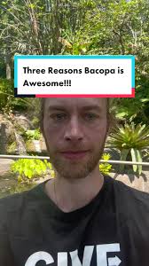 Dave Pascoe Supplements