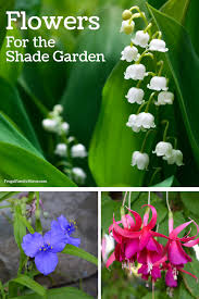 These flowers can grow in full shade, partial shade, and full sun if needed. 8 Easy To Grow Flowers For The Shade Garden Frugal Family Home