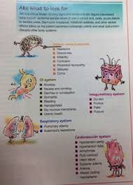 936 best nursing images nursing notes nursing mnemonics