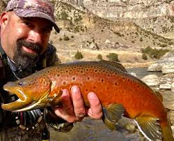 Got some good ones today