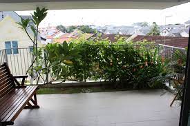 Pin On Patio