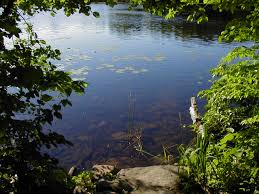 Lebanon hills regional park is home to schulze lake beach, which is a popular beach for family swimming because of the sandy beach and clear water. Lebanon Hills Regional Park Wikipedia