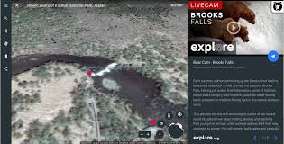 Download google earth for windows pc 10, 8/8.1, 7, xp. Google Earth Live Explore Org Invites You To Hang Out With Alaskan Brown Bears
