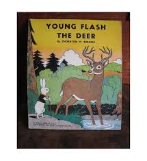 1940 Flash The Young Deer Children S Book In Excellent Condition Childrens Books Black White Illustration Deer