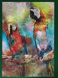 Discover bluebird's range of puzzles and accessories. Parrots Bluebird Puzzle 1000 Pieces Quality Is Nice Decently Thick Matte Pieces And I Love The Colours Jigsawpuzzles