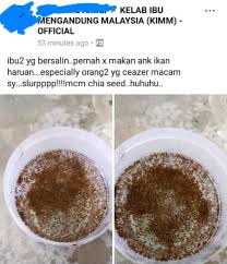 Ikan haruan kalimantan diolah dengan bumbu dan rempah pilihan, perpaduan rasa asin, asam dan manis serta pedas yang menggugah selera, dikemas & siap santap!!!. Telan Anak Ikan Haruan Hidup Lepas Beranak Caesar Ikuti Penjelasan Doktor Ini Islam Itu Indah