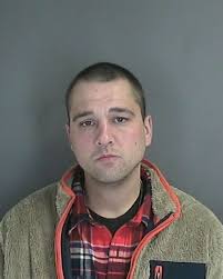 Cops, Courts and Fire Calls